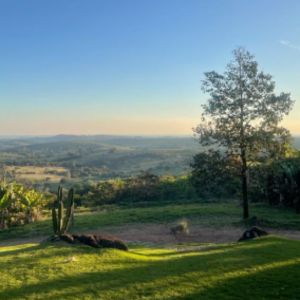Fazenda Q 6